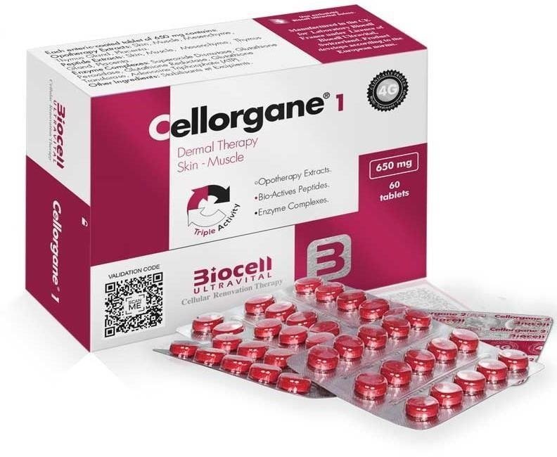 Cellorgane 1 (Dermal Muscular)