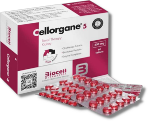 Cellorgane 5 (Renal)