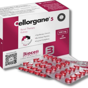 Cellorgane 5 (Renal)