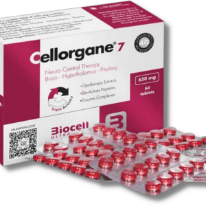 Cellorgane 7 (Nervioso-Central)