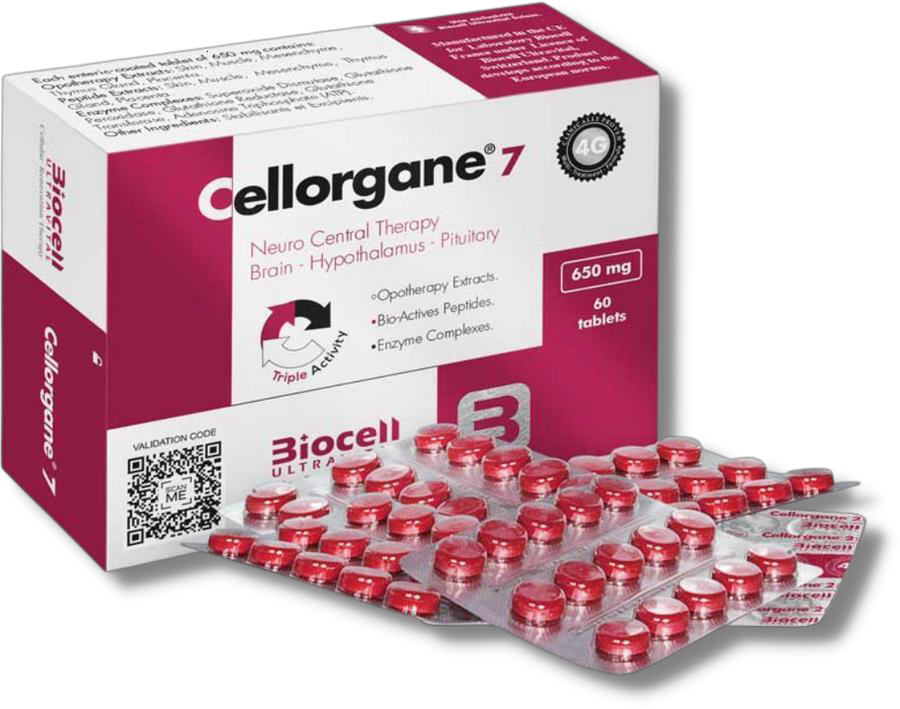 Cellorgane 7 (Nervioso-Central)
